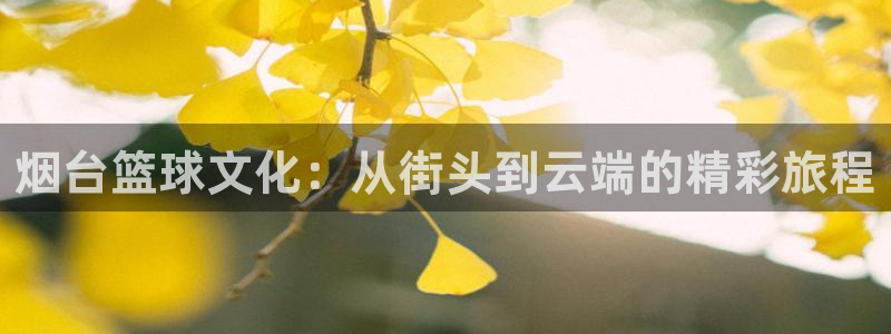 球王会体育：烟台篮球文化：从街头到云端的精彩旅程