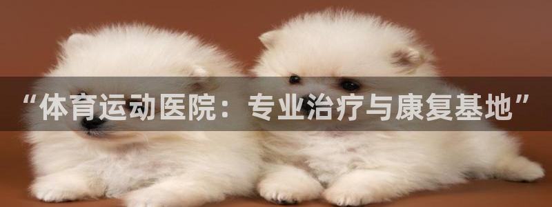 球王会体育：“体育运动医院：专业治疗与康复基地”