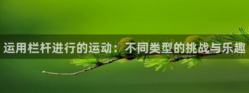 球王会体育：运用栏杆进行的运动：不同类型的挑战与乐趣