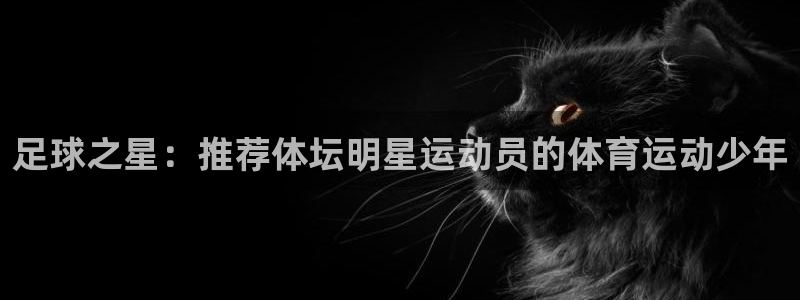 球王会体育：足球之星：推荐体坛明星运动员的体育运动少年