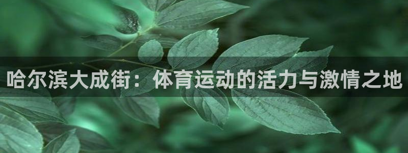 球王会体育：哈尔滨大成街：体育运动的活力与激情之地