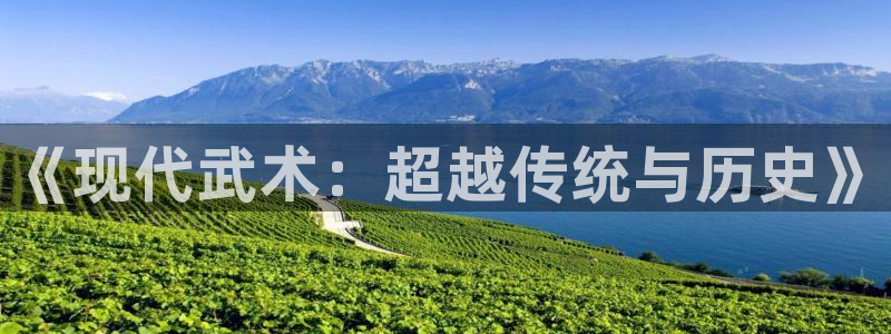 球王会体育：《现代武术：超越传统与历史》