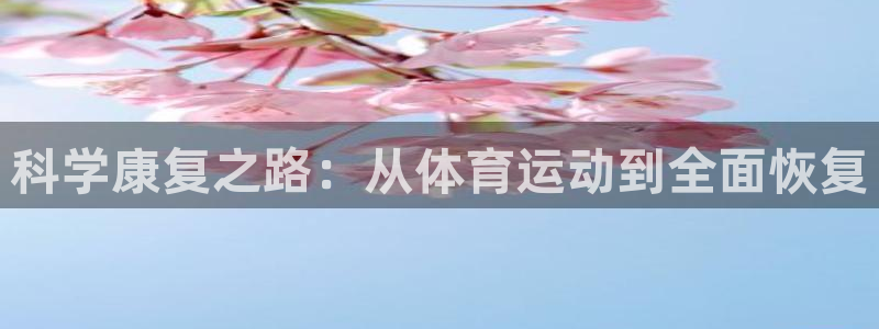球王会体育：科学康复之路：从体育运动到全面恢复