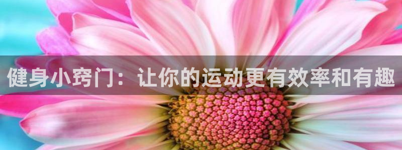 球王会体育：健身小窍门：让你的运动更有效率和有趣