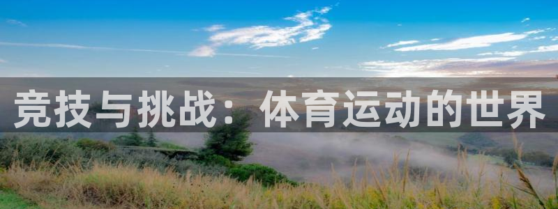 球王会体育：竞技与挑战：体育运动的世界