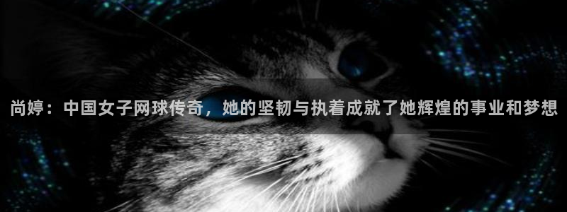 球王会体育：尚婷：中国女子网球传奇，她的坚韧与执着成就了她辉煌的事业和梦想