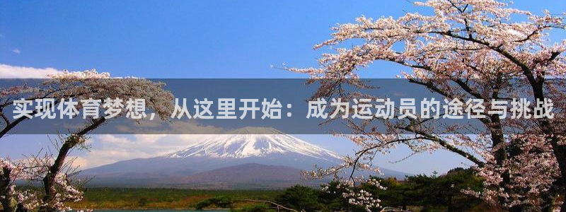 球王会体育：实现体育梦想，从这里开始：成为运动员的途径与挑战