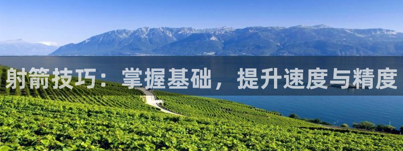 球王会体育：射箭技巧：掌握基础，提升速度与精度