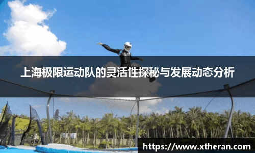 上海极限运动队的灵活性探秘与发展动态分析